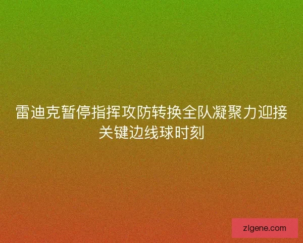 雷迪克暂停指挥攻防转换全队凝聚力迎接关键边线球时刻